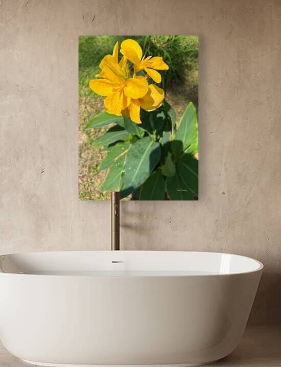 Lilies Reproduction