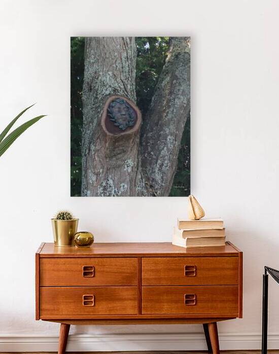 Trees Reproduction