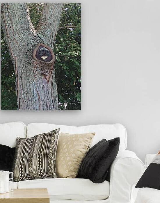Trees Reproduction