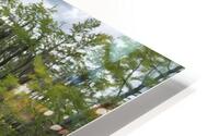 Swamp HD Metal print
