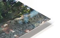 Trees HD Metal print