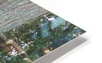 Trees HD Metal print