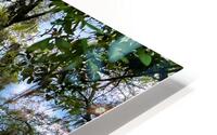 Amelia Island HD Metal print