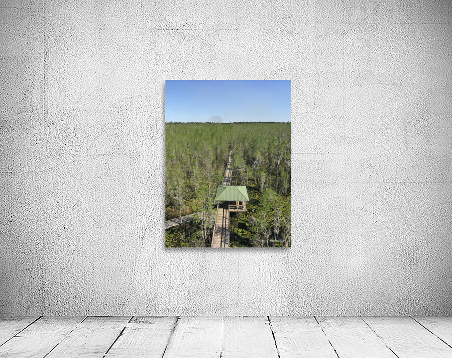 Nature Trail Wall Preview