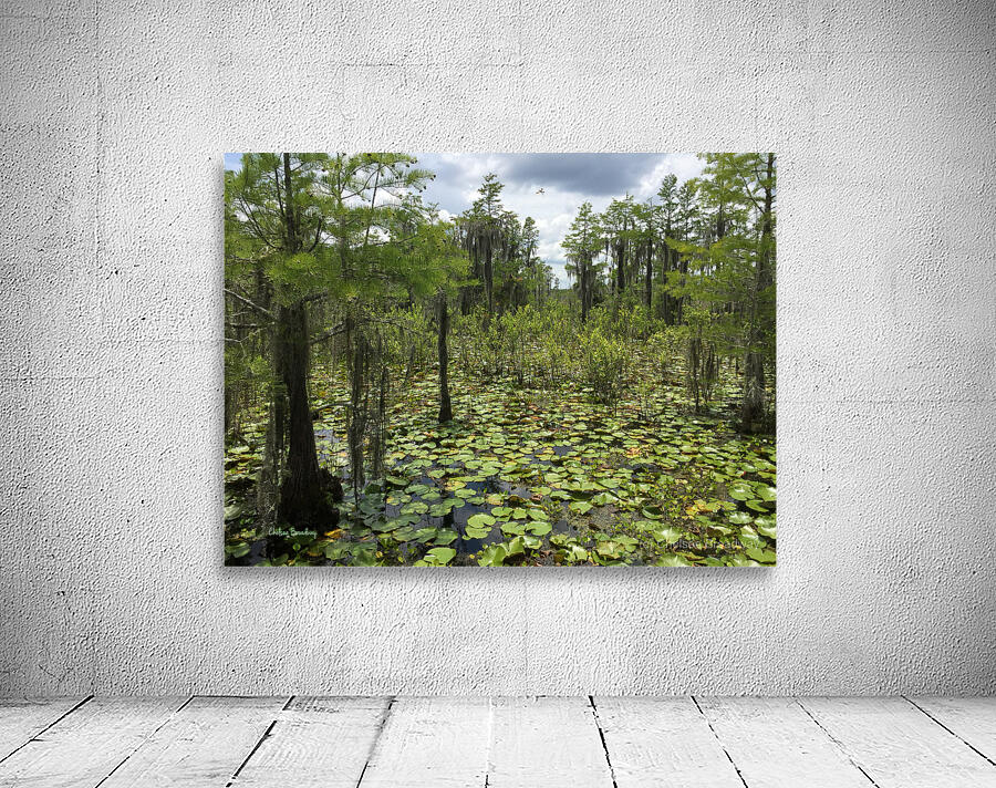 Swamp Wall Preview