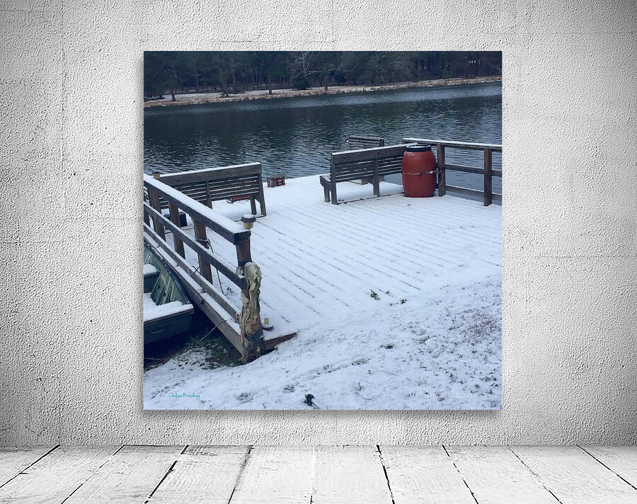 Thomasville Georgia Wall Preview