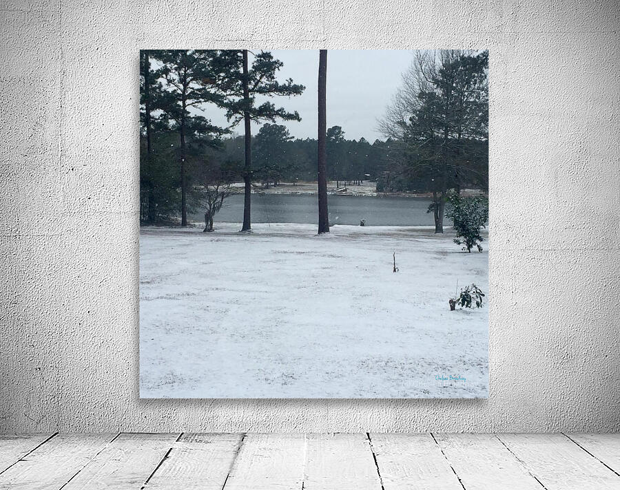 Thomasville Georgia Wall Preview