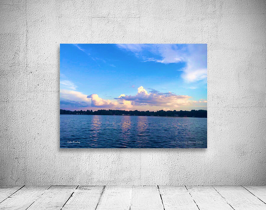 Lake Seminole Wall Preview