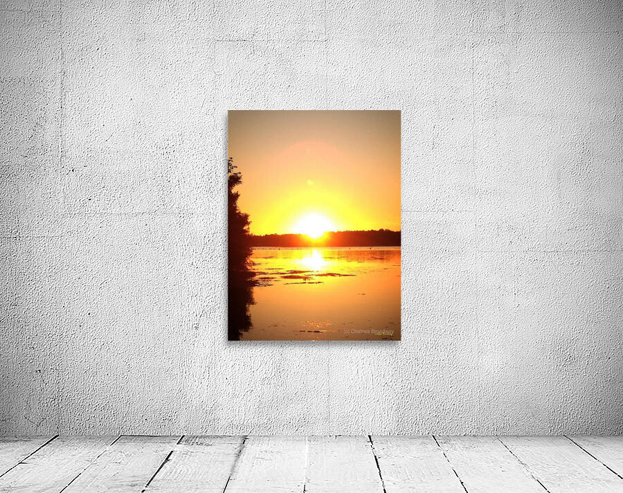 Lake Seminole Wall Preview