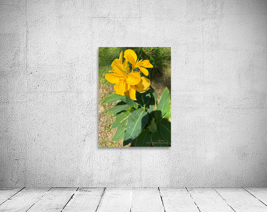 Lilies Wall Preview