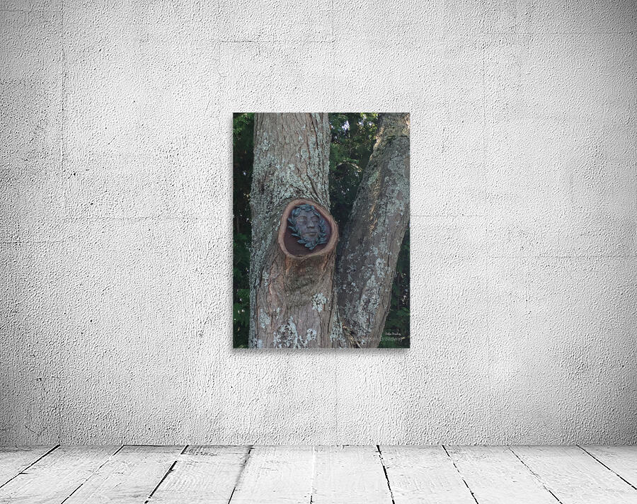 Trees Wall Preview