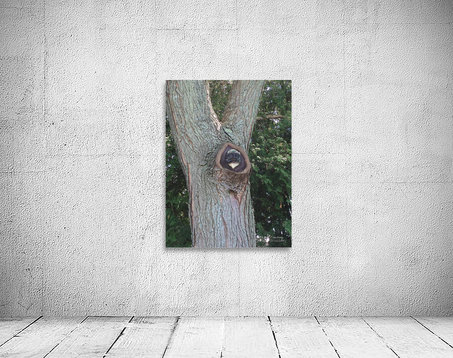 Trees Wall Preview