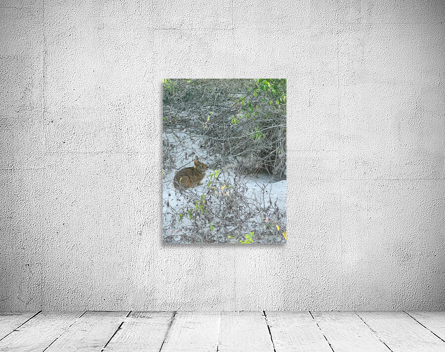Amelia Island Wall Preview