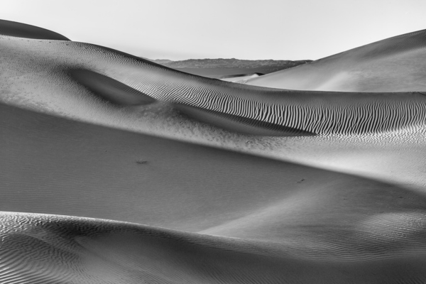 Waves Digital Download