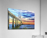 20160411 Curves of the Bridge 0001 DAP Neo Raphae Acrylic Print