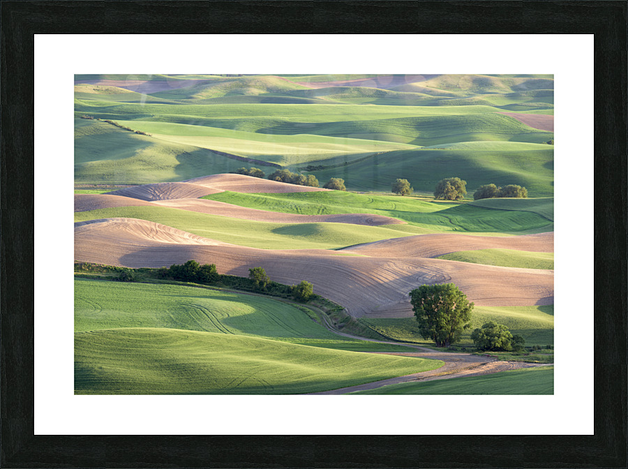 Rolling Hillsides Picture Frame print