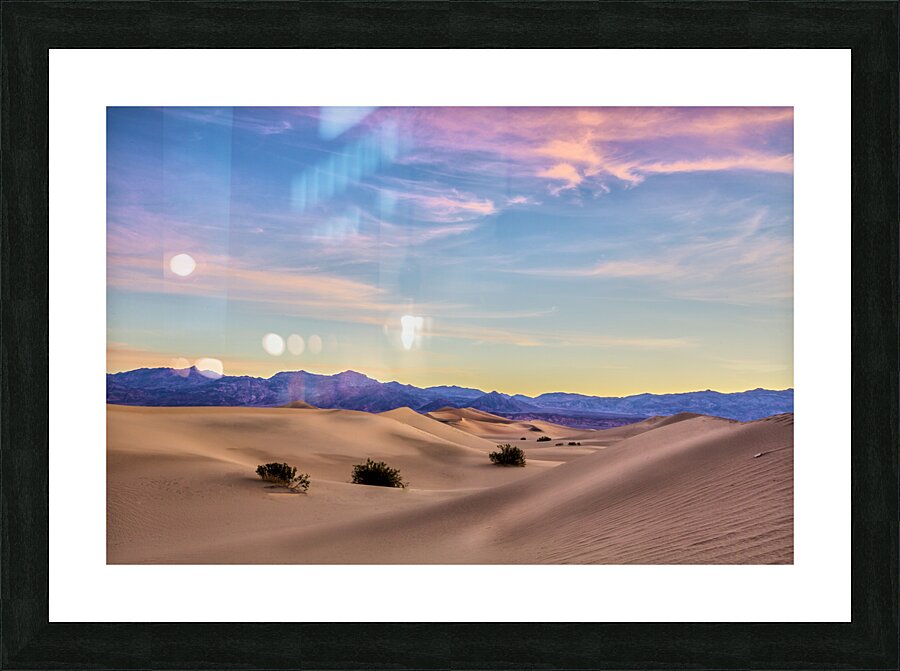 Three in the Sand Picture Frame print