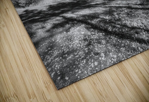 Not Anymore Images By Jon Evan puzzle
