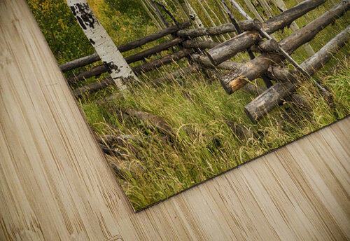 Weaving Thru the Trees Images By Jon Evan puzzle