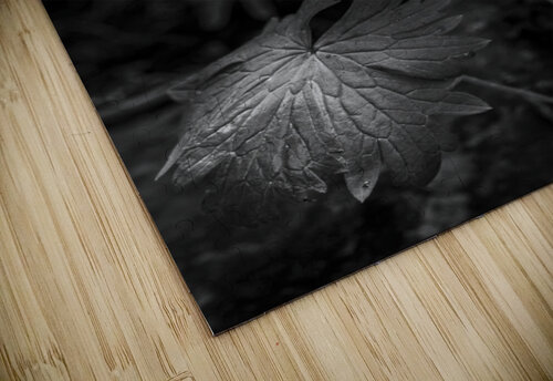 Light on the Leaf Images By Jon Evan puzzle