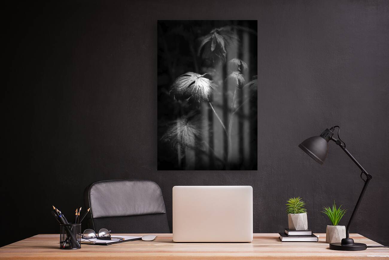 LIght on the Leaf II Reproduction