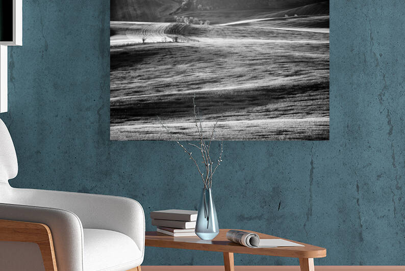 Isolated Trees by Images By Jon Evan