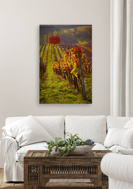 Winery in Moravia by Images By Jon Evan