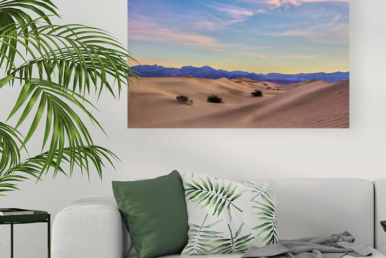 Three in the Sand by Images By Jon Evan