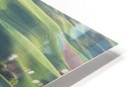 Rolling Hillsides HD Metal print