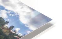 VIsual Rapture HD Metal print