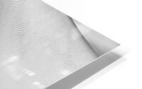 Torso HD Metal print