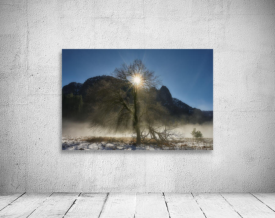 Rays Reaching in Yosemite Wall Preview