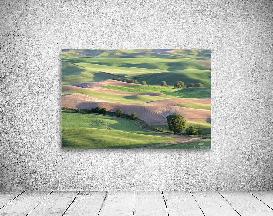 Rolling Hillsides Wall Preview