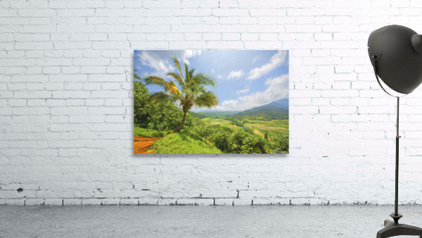 Hanalei Overlook II  Wall Preview