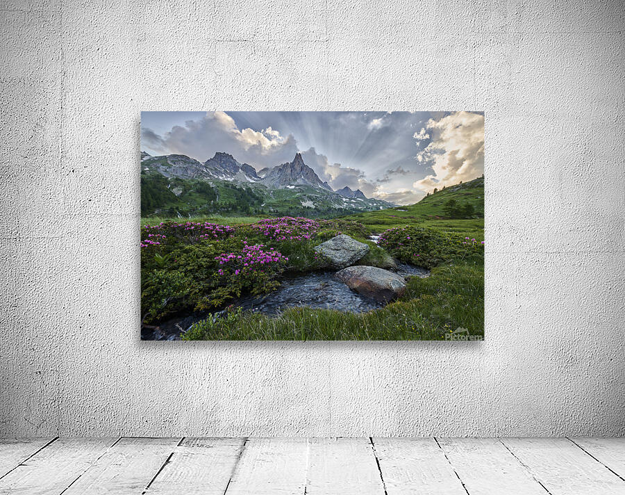 Below God Rays in the Alps Wall Preview