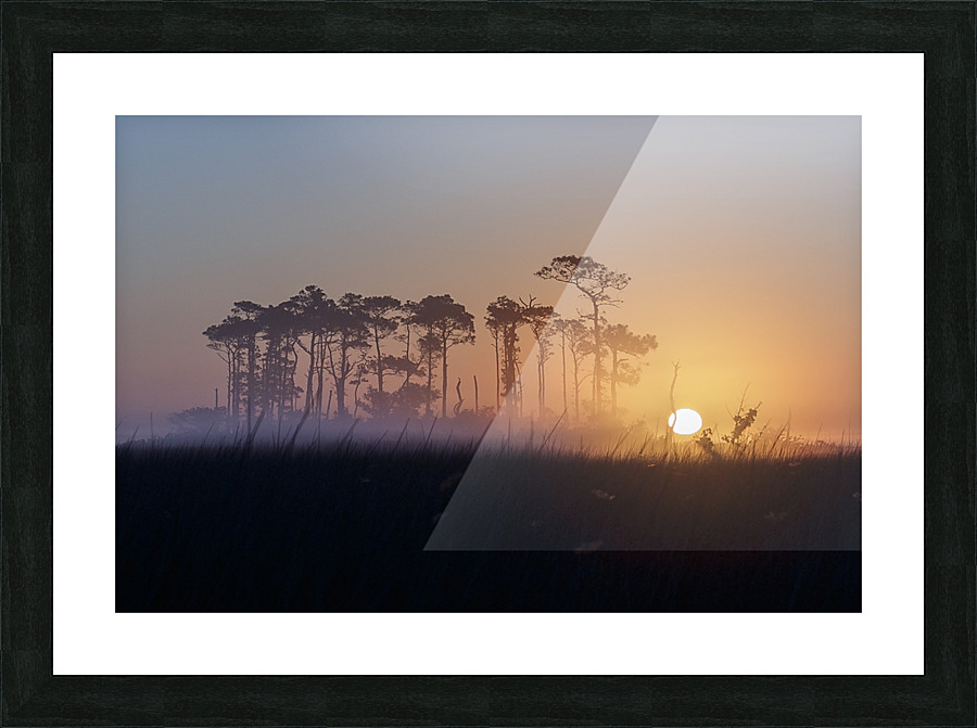 Marsh Sunrise Picture Frame print