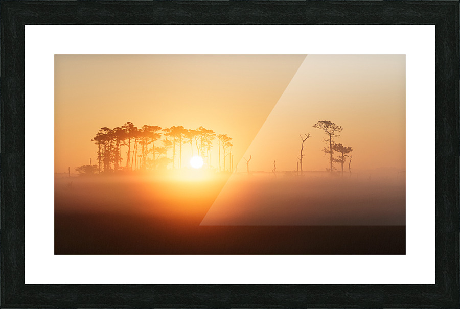 Golden Picture Frame print
