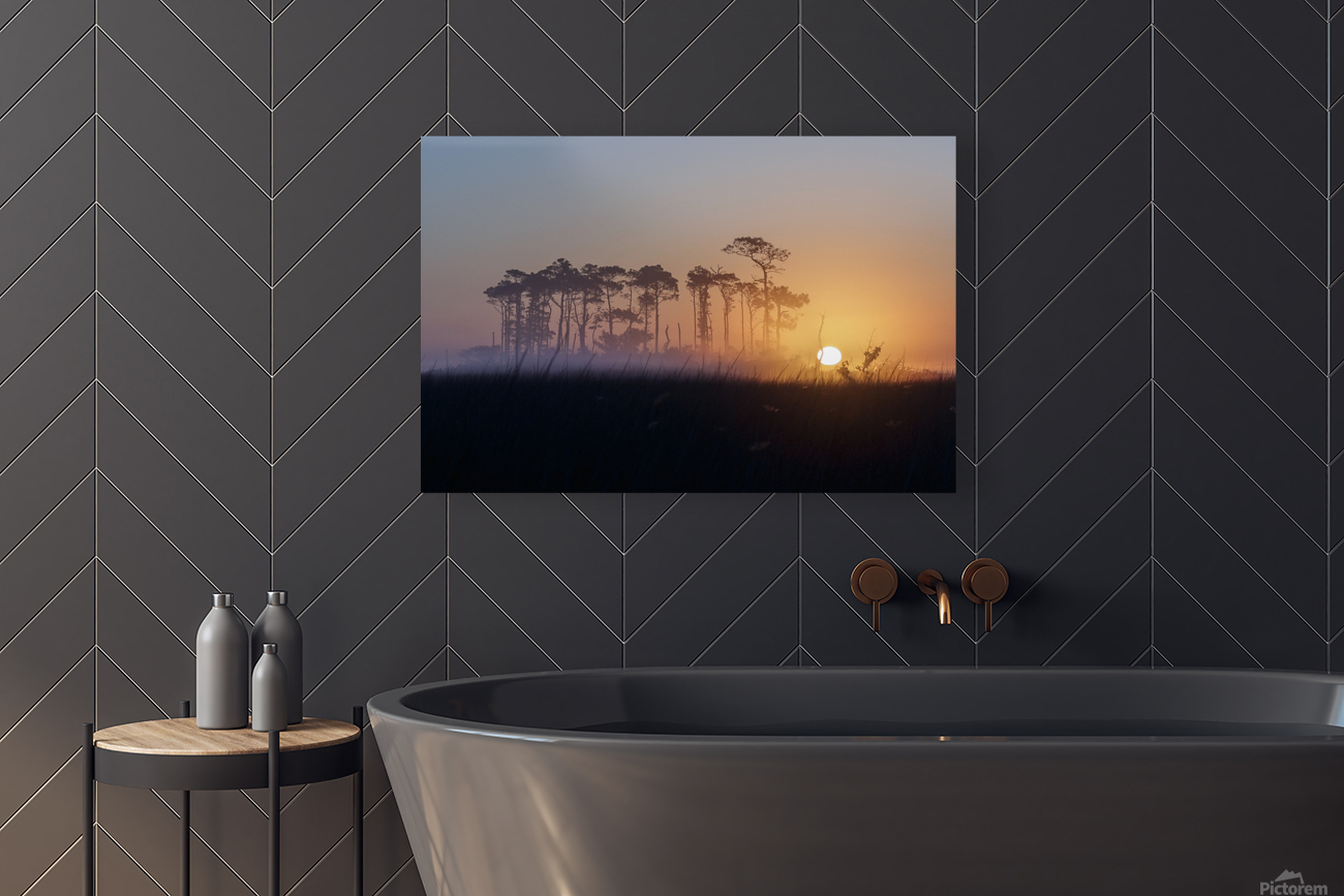 Marsh Sunrise Reproduction