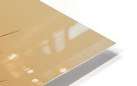 Wing Drying HD Metal print