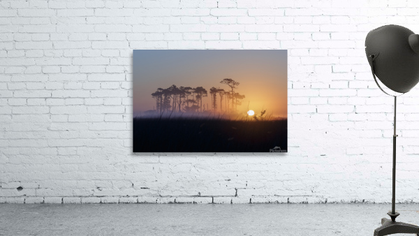 Marsh Sunrise Wall Preview