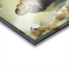 William  Adolphe  Bouguereau 1825 1905  Regina  Angelorum Acrylic print