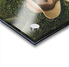 Henri Rousseau  16 Acrylic print