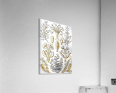 26 haeckel sertulariae Acrylic Print