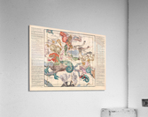 astrology 18 Acrylic Print