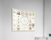 Vintage Maps  60 Acrylic Print
