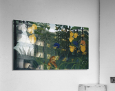 Henri Rousseau  53 Acrylic Print