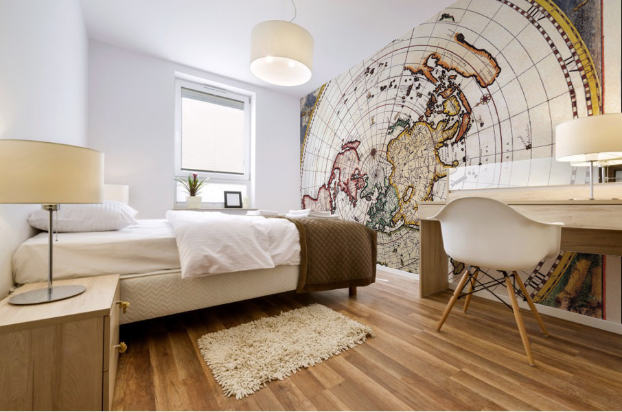 Old Map 65 Mural print