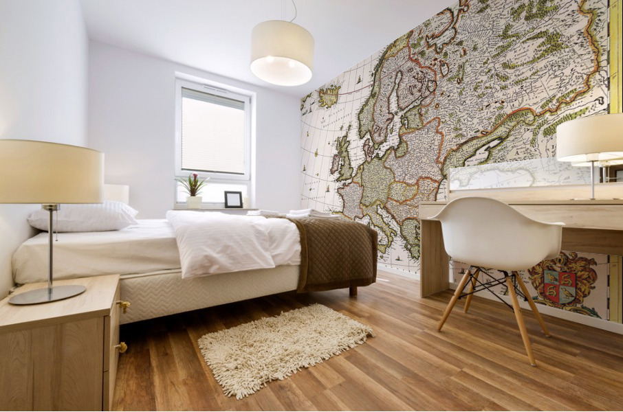 Old Map 73 Mural print
