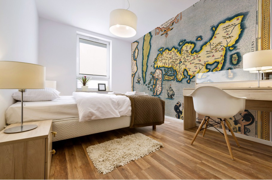 Old Map 88 Mural print
