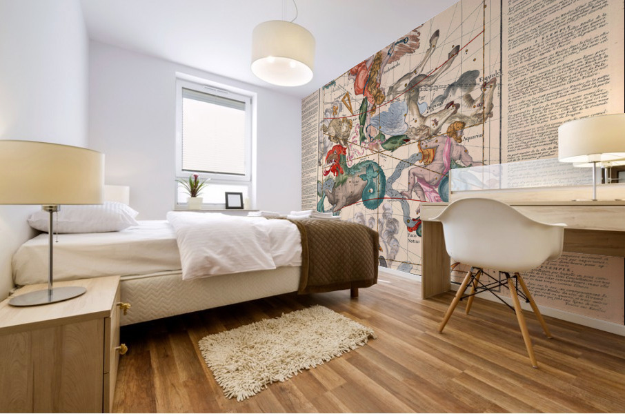 astrology 18 Mural print